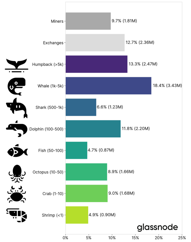 Crypto Whales Chart