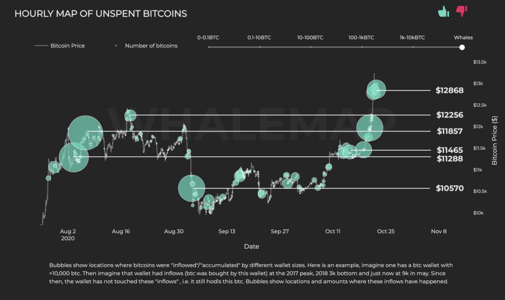 Crypto whales charts