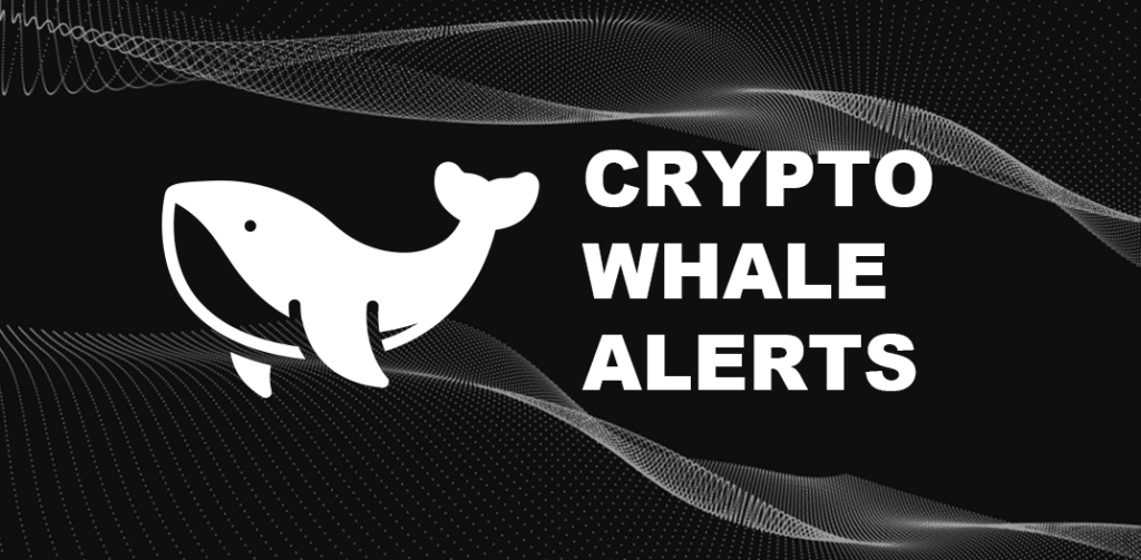 Whale Alert Crypto